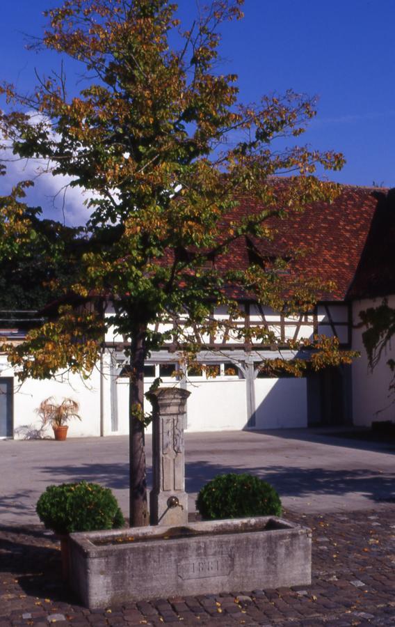זאלם Markgraeflich Badischer Gasthof Schwanen מראה חיצוני תמונה